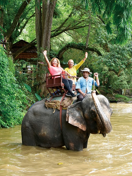 elephant special tours thailand